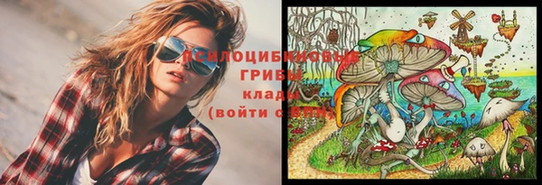 a pvp Вяземский