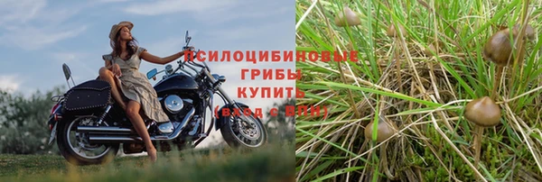 МДМА Вязьма
